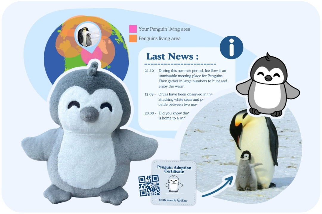 Penguin Adoption Plushie