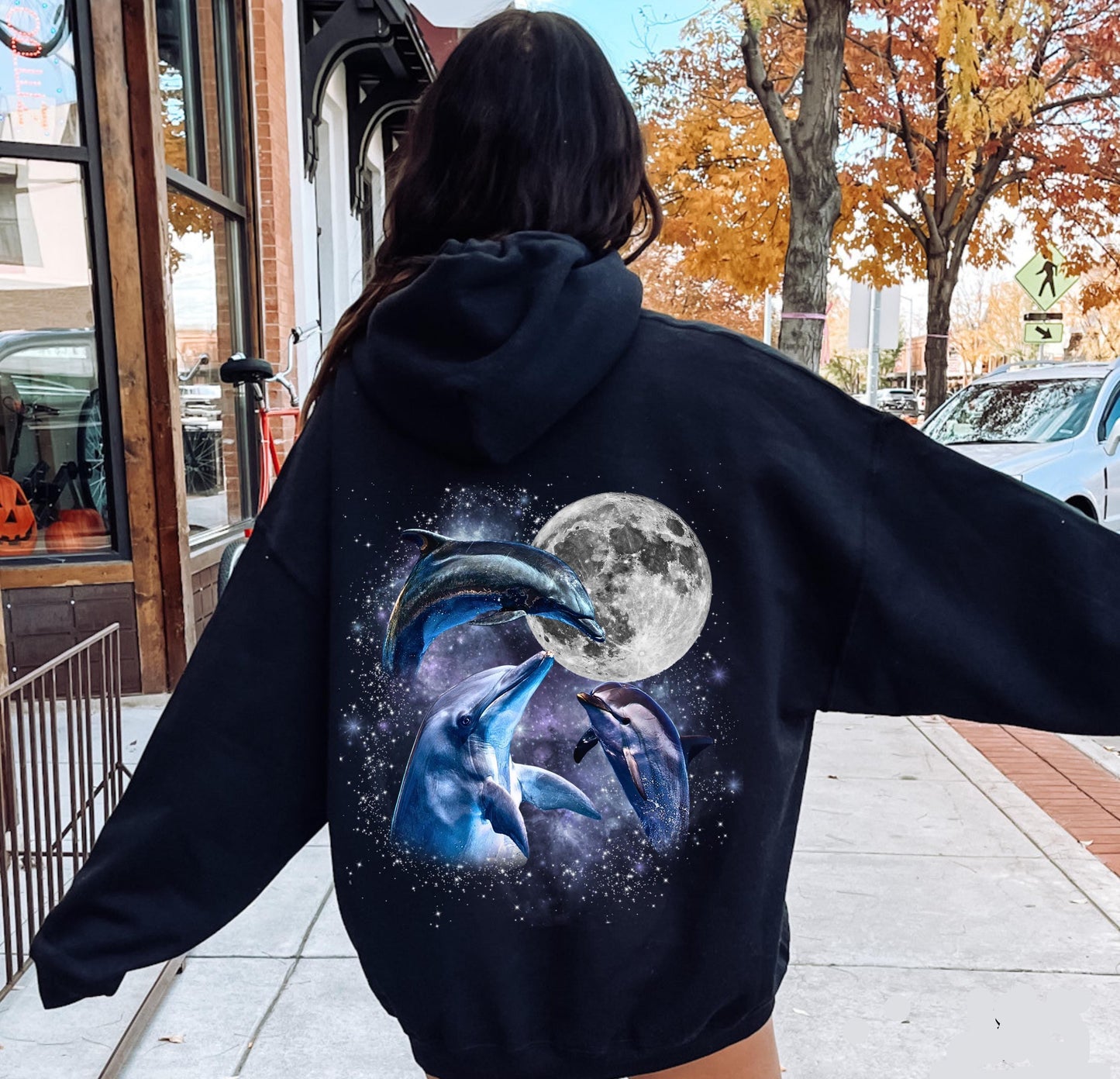 Three Dolphin Moon Hoodie