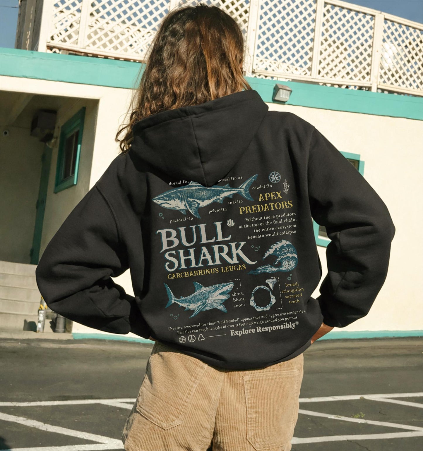 Vintage Look Bull Shark Anatomy Hoodie