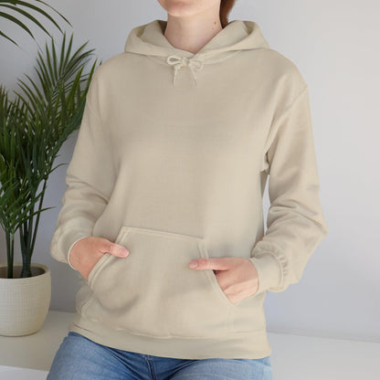The Sea Turtle Hoodie
